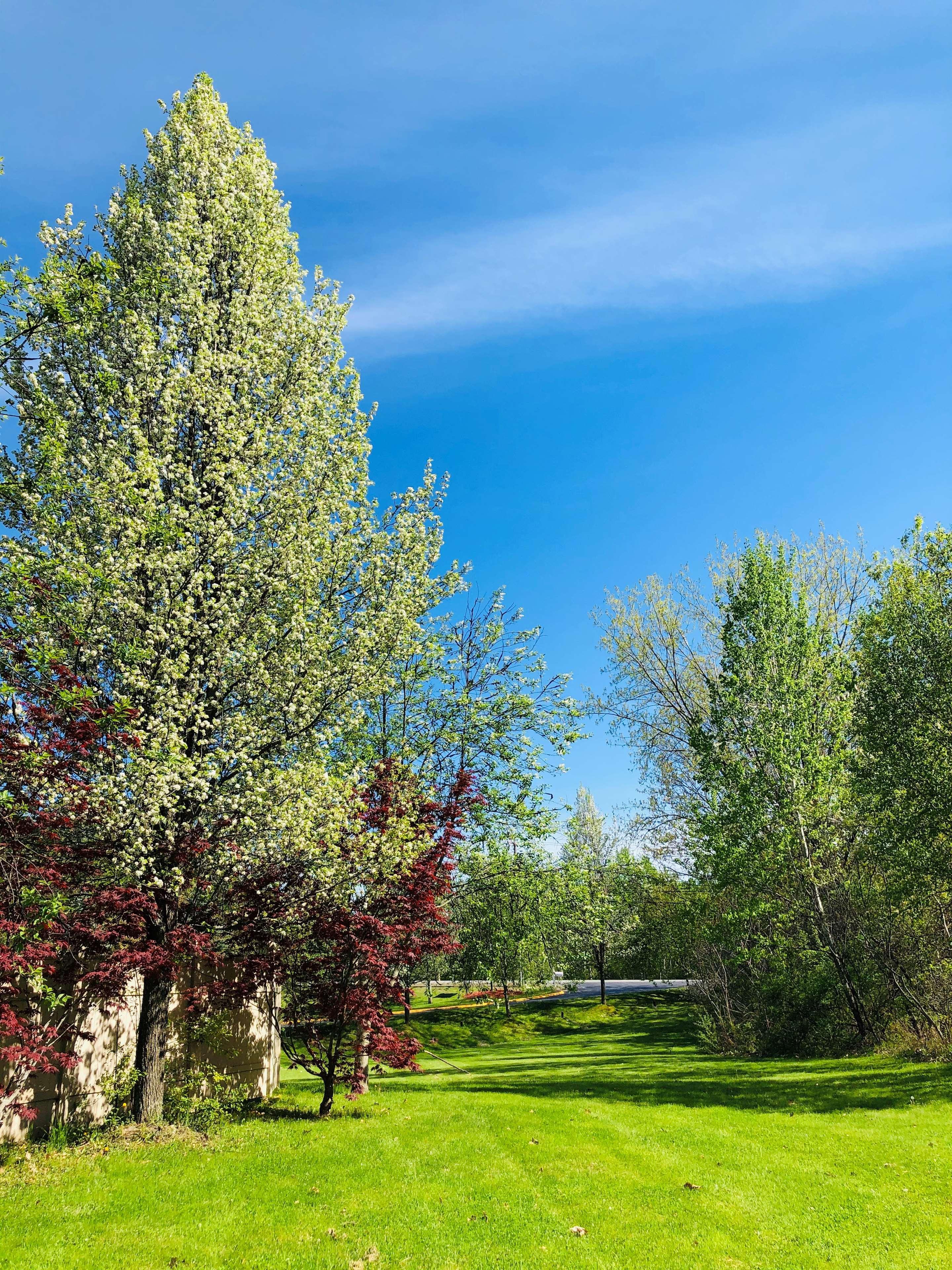 Best Western West Lebanon-Hanover Exterior foto
